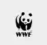 WWF Market Kupon 